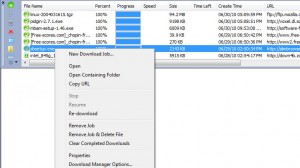 Slim Browser Ekran Goruntusu - Download Manager