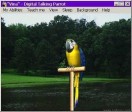 Vina--Digital Talking Parrot
