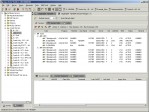 Oracle Session Manager