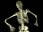 3D Dancing Skeleton