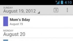 Google Calendar Ekran Görüntüsü