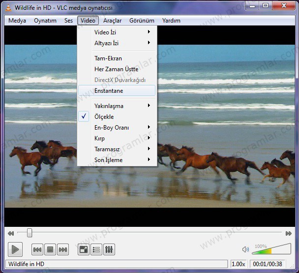 VLV Player ile videodan görüntü alma