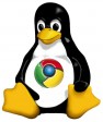Linux'a bir katkı da Google'dan
