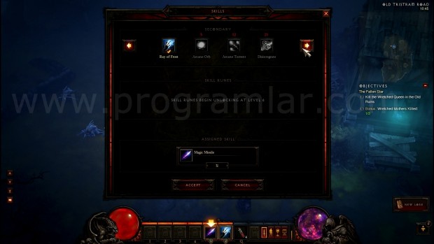 Diablo 3 Ekran Görüntüsü