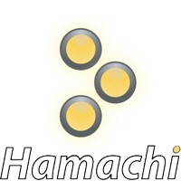 Hamachi ile sanal ağ üzerinden oyun oynama