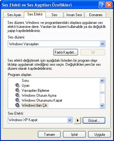 Windows Ses Düzeni