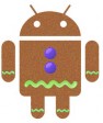 Android 2.4  Nisan'da çıkacak