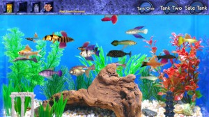 Fish Tycoon