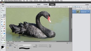 Adobe Photoshop Elements Ekran Goruntusu
