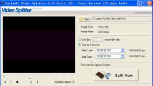 AVI/MPEG/RM/WMV Splitter