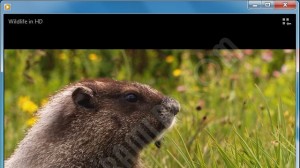 Windows Media Player Ekran Görüntüsü