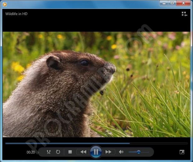 Windows Media Player Ekran Görüntüsü