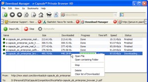 e-Capsule Private Browser for U3