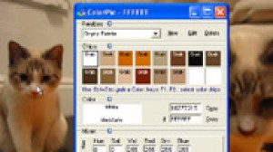 ColorPic