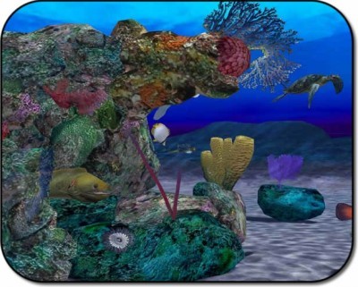 DiveVisions DiveVisions