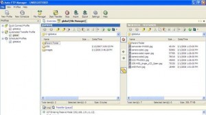 Auto FTP Manager