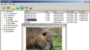 Easy-Undelete Ekran Goruntusu