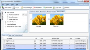 Duplicate File Finder