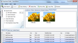 Duplicate File Finder