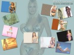 Bikini Screensaver