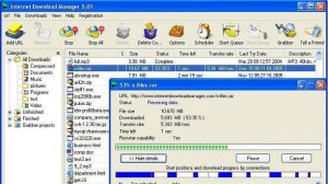 Internet Download Manager Ekran Görüntüsü