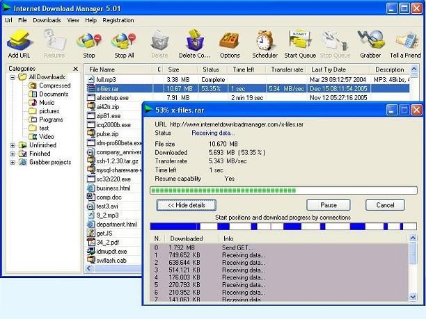 Internet Download Manager Ekran Görüntüsü