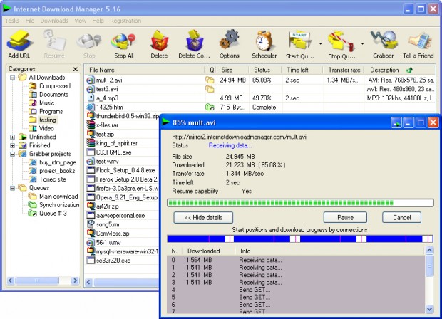Internet Download Manager Ekran Görüntüsü