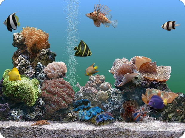 SereneScreen Aquarium
