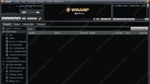 Winamp Ekran Görüntüsü