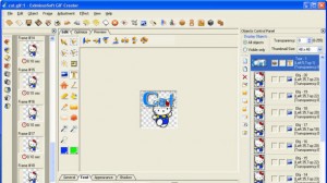 EximiousSoft GIF Creator 5.60 #12307