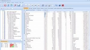 DiskAnalyzer Pro