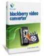 iLead DVD to Blackberry