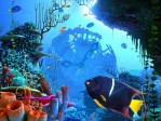 Underwater World