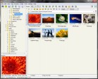 FastStone Image Viewer