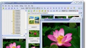 FastStone Image Viewer