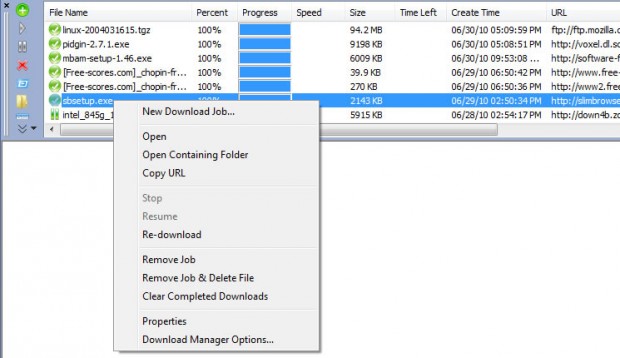 Slim Browser Ekran Goruntusu - Download Manager