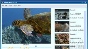 Xilisoft Video Cutter