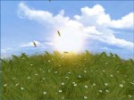 Butterflies Animated Wallpaper