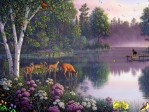Fairy Lake Screensaver