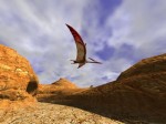 3D Canyon Flight