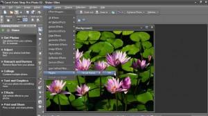 Corel Paint Shop Pro Photo X2