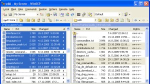 WinSCP Ekran Görüntüsü