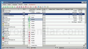 NetBalancer Free Ekran Goruntusu 1