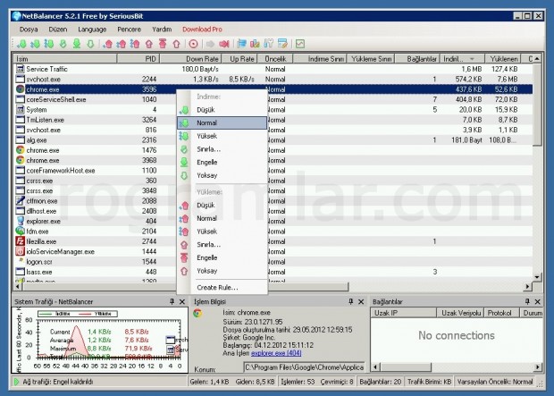 NetBalancer Free Ekran Goruntusu 1