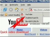 Video DownloadHelper