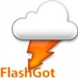 FlashGot