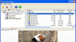 Easy File Undelete
