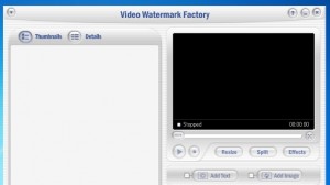Video Watermark Factory