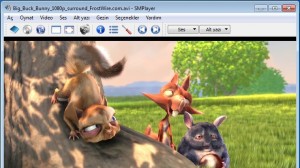 SMPlayer Ekran Goruntusu