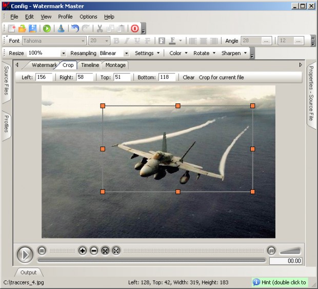 Watermark Master